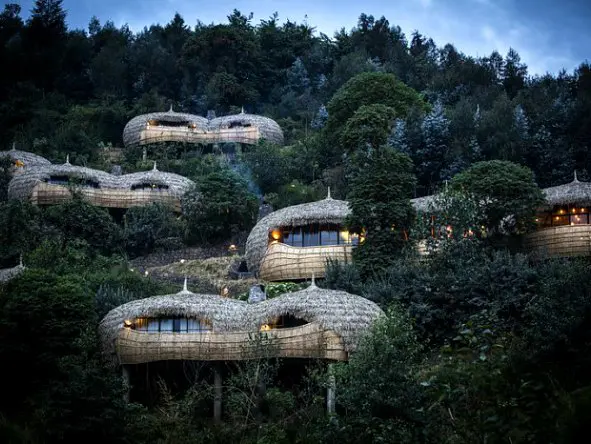 Bisate lodge