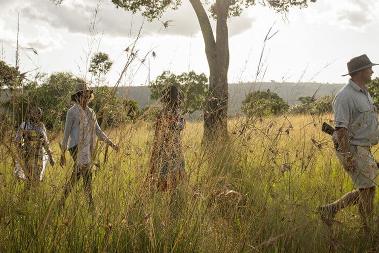 A walking safari