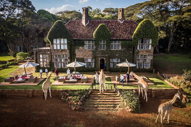 Edited Safari Collection Afternoon Tea copyright Scott Ramsay 89