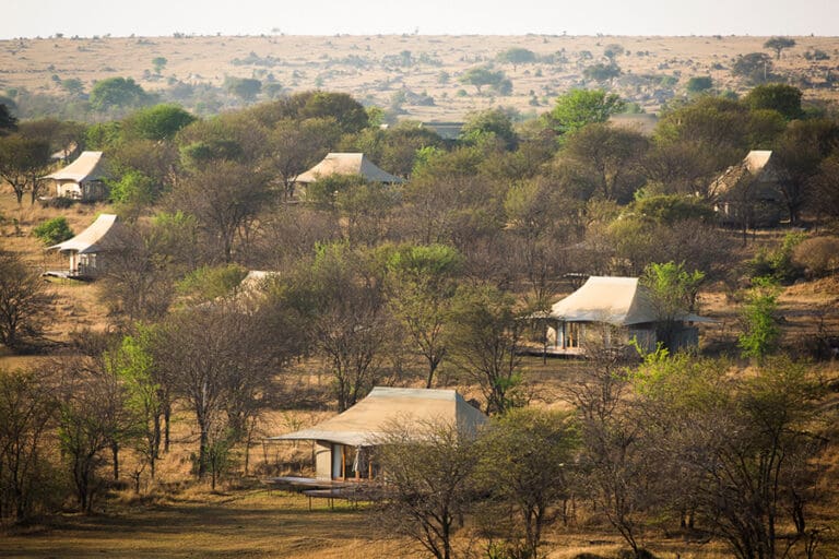 SayariCamp Exterior ArealView