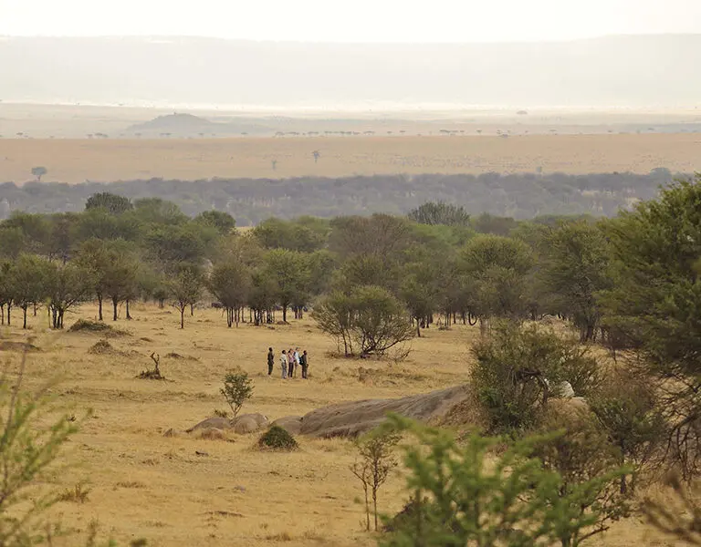 Sayari serengeti walking safari landscape
