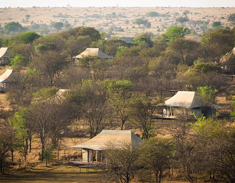 Sayari Camp Guest tents layout