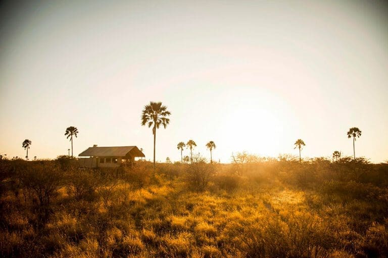 Edit DavidCrookes Camp Kalahari UnchartedAfrica 13 3133 21