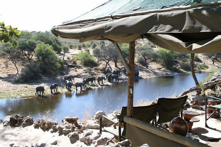 Edit meno a kwena tented camp