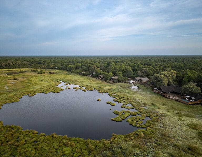 Sable Alley Natural Selection Botswana Khwai Private Reserve Okavango Delta Aerial 1
