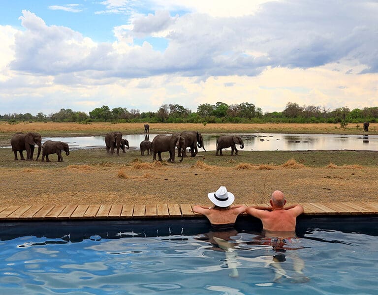 Sable Alley Natural Selection Botswana Khwai Private Reserve Okavango Delta Swimming Pool View from camp in dry season