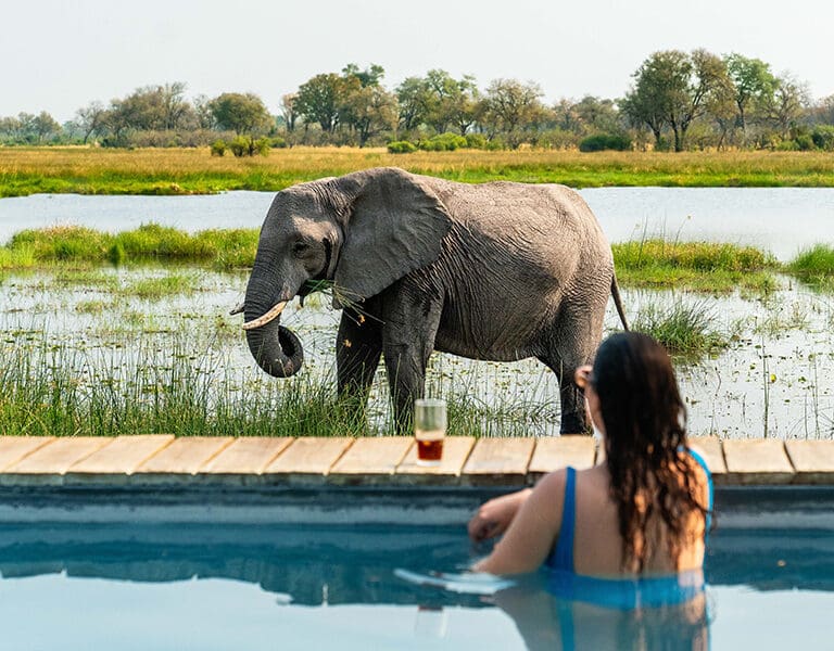 Sable Alley Natural Selection Botswana Khwai Private Reserve Okavango Delta Swimming Pool 5 view fro camp during wet season