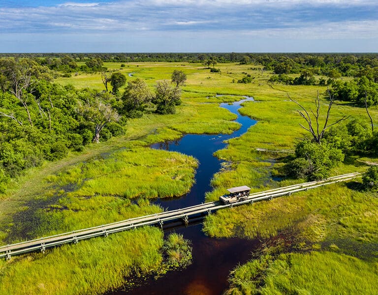 Sable Alley Natural Selection Botswana Khwai Private Reserve Okavango Delta Game Drive 2
