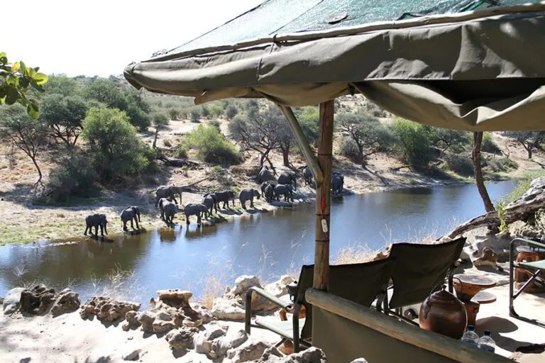 Meno a kwena tented camp wildlife