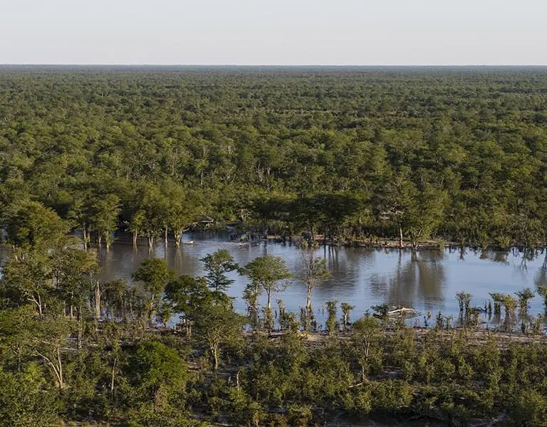 Elephant Pan Botswana Elephant Pan Aerial View green season