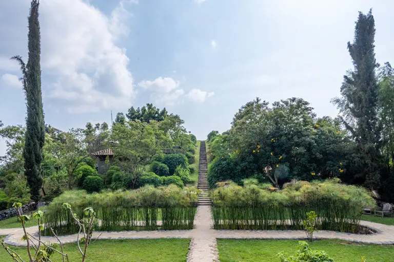 19 Virunga Lodge Gardens 001