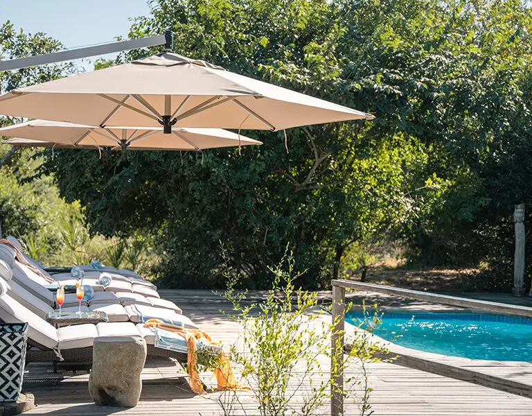 GORONGOSA SAFARIS Muzimu Lodge Main Area Pool 10