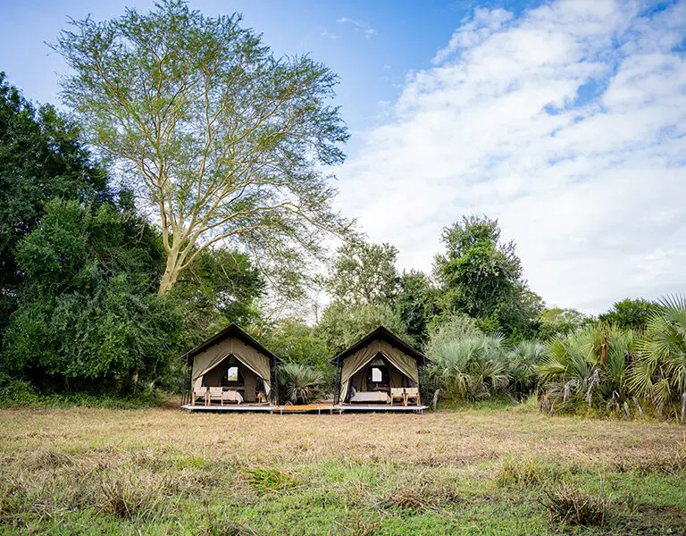 GORONGOSA SAFARIS Chicari Camp Treehide Safari Tents Exterior 5