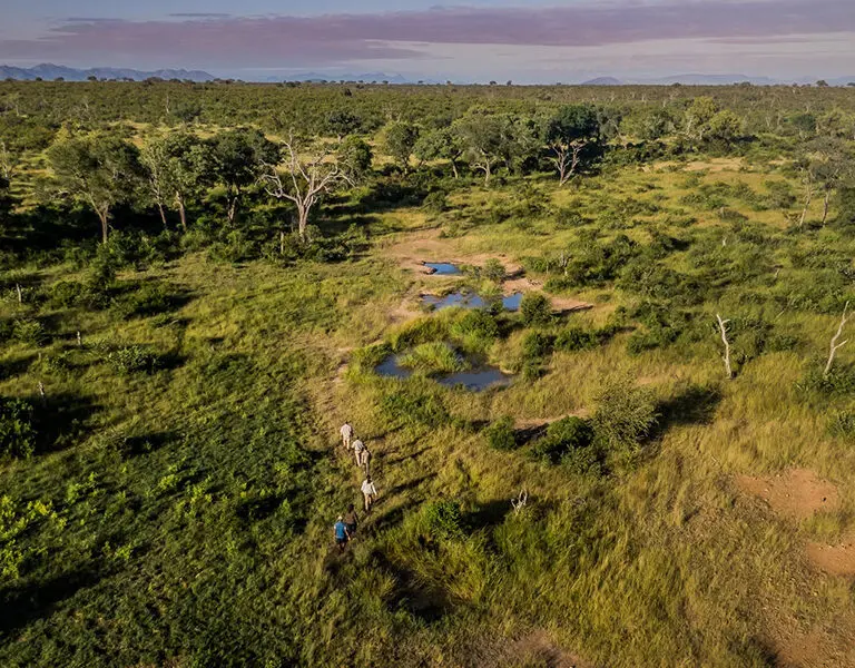 Lukimbi Safari Lodge walking safari