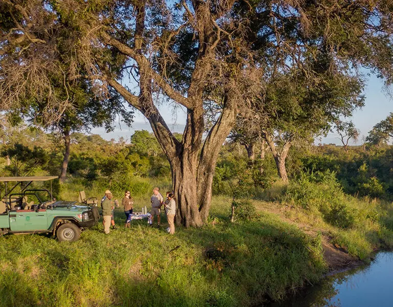 Lukimbi Safari Lodge bush picnic