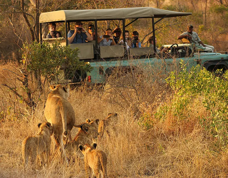 Lukimbi Safari Lodge Lion Big 5