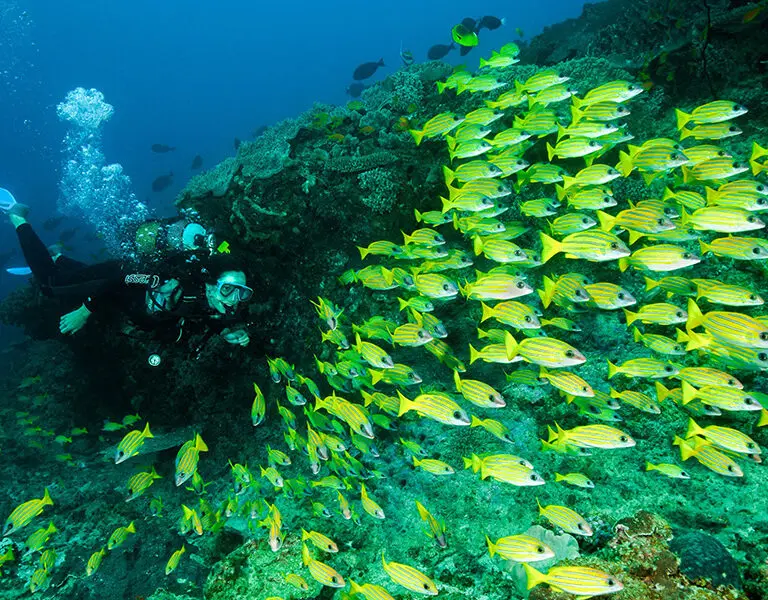 Machangulo Beach Lodge diving 1