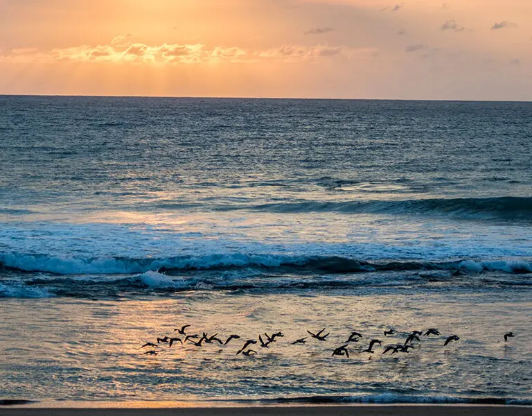 Machangulo Beach Lodge 2