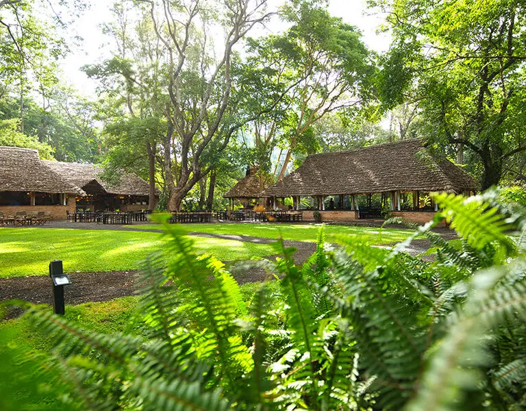 Rivertrees Country Inn Grounds Restaurant Terrace Kitchen Pizza Banda Bistro