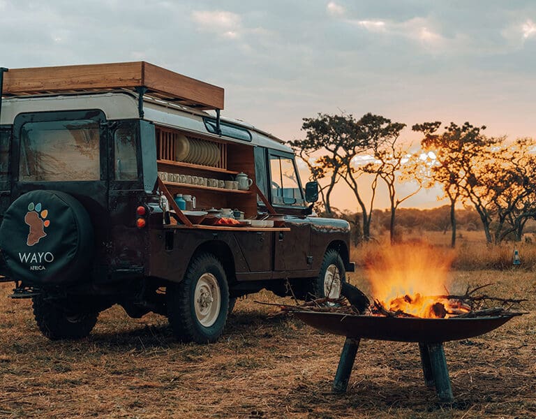 Wayo Serengeti Green Camp Outdoor dinings under the stars