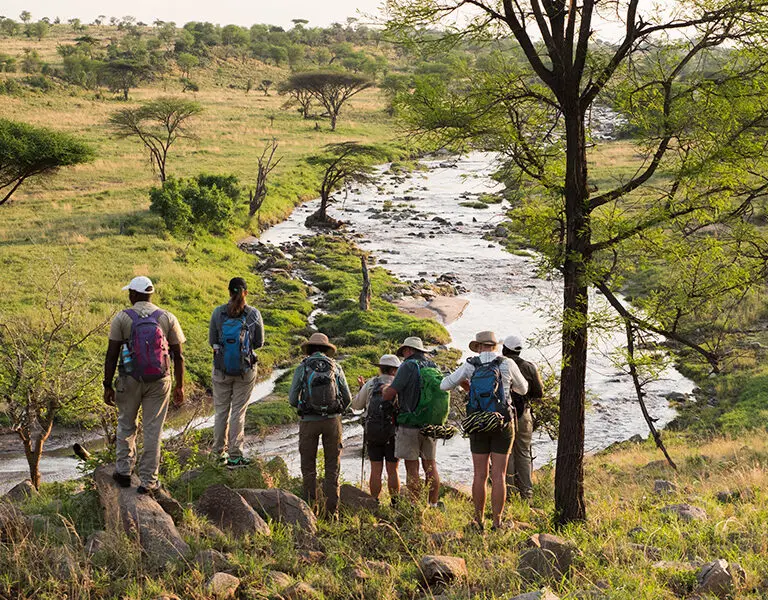 Wayo Serengeti Green Camp Walking Available