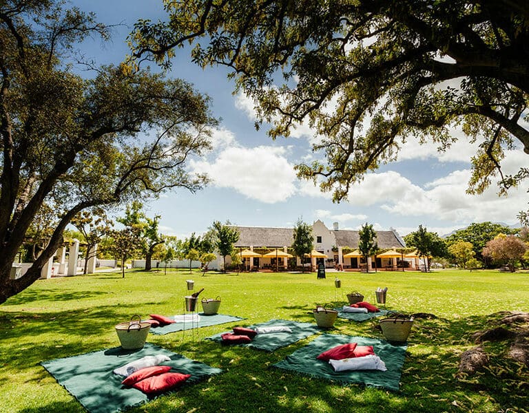 Spier Hotel spier picnic group setup lr