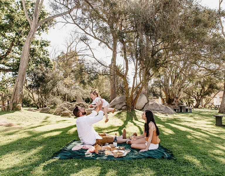 Spier Hotel 2021 spier picnic werf 40