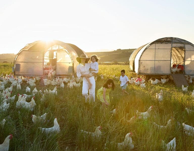 Spier Hotel winelands Spier Hotel Family Adventures