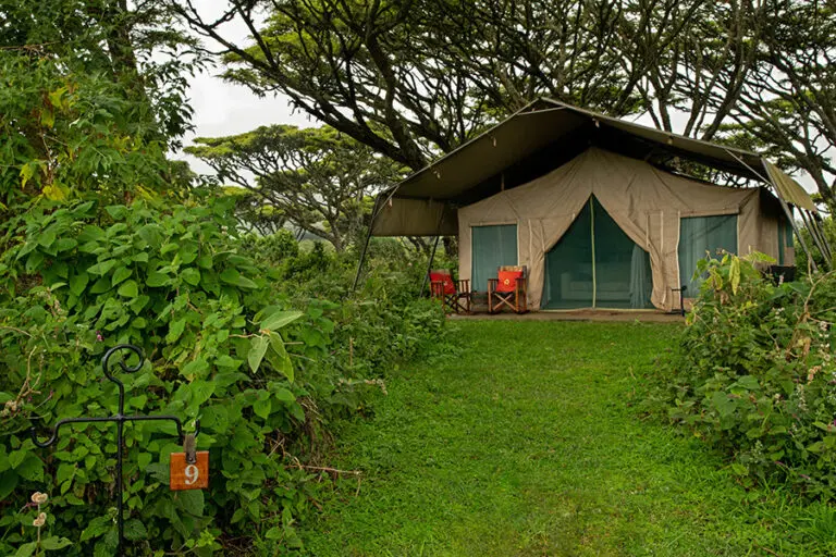 Lemala Ngorongoro Private tents