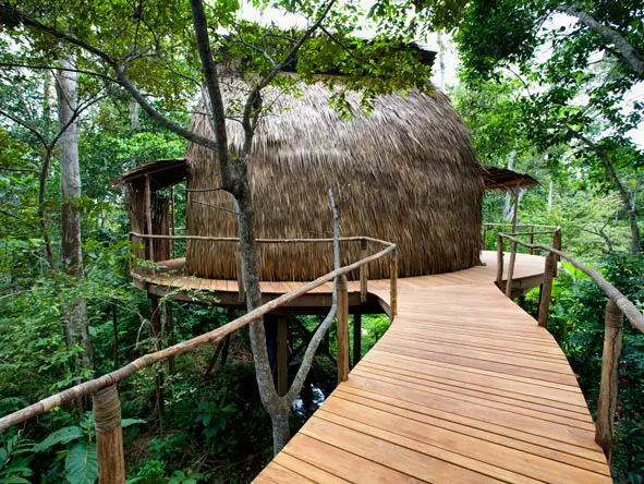 Lango Camp Jungle views