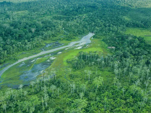 Lango Camp Equatorial rainforests