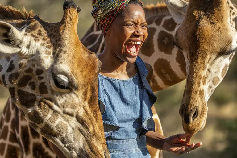 Giraffe Manor Interact with the giraffes
