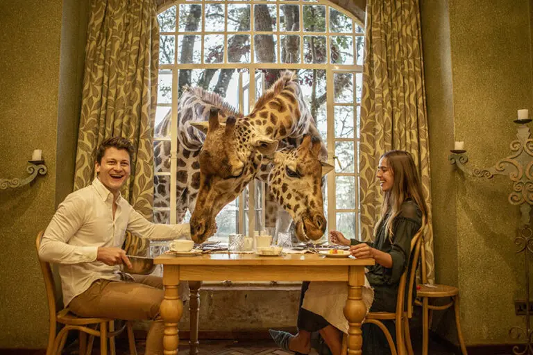 Breakfast at Giraffe Manor
