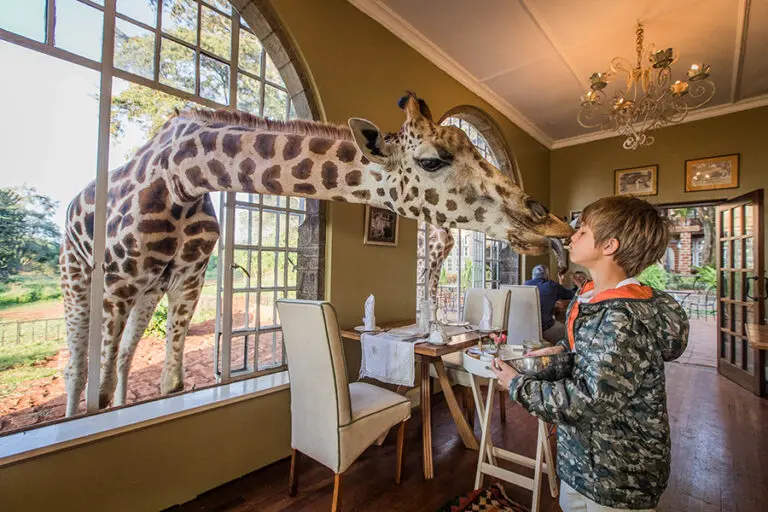 Edited breakfast time 2 copyright scott ramsay