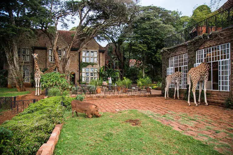 Edited giraffe manor exterior copyright scott ramsay