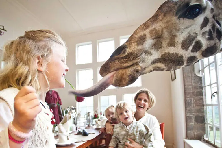Edited The Giraffe Manor Kenya 01