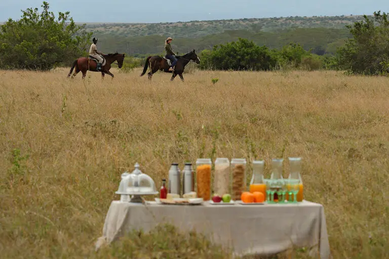 Solio Lodge Breakfast in the foothills of Mount Kenya