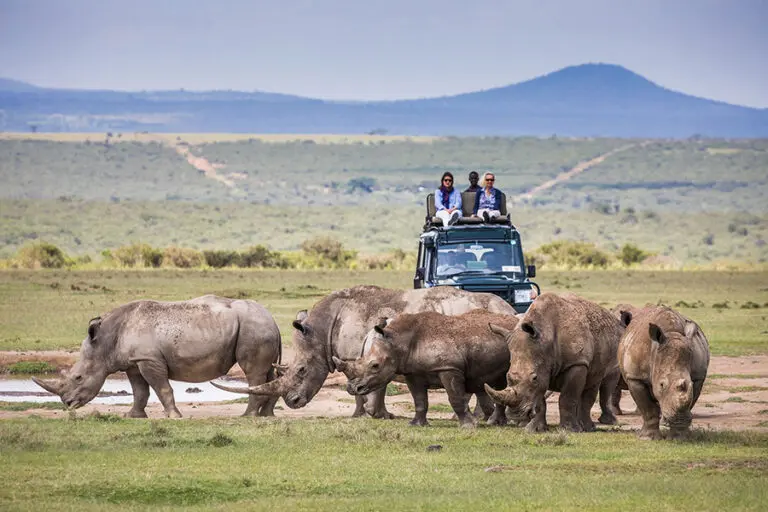 SOLIO LODGE Ideal first stop on safari copyright Scott Ramsay