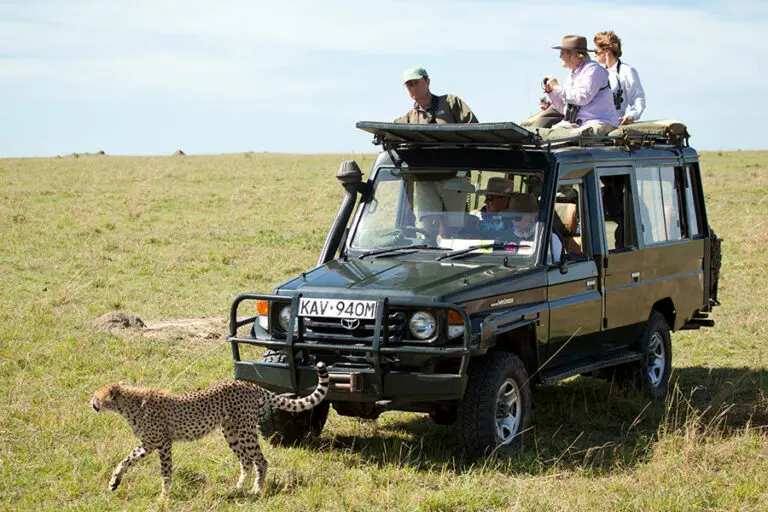 Salas Camp Game Drives