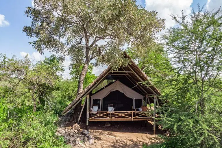 Sinamatella Tanzania Ruaha 20181205 343