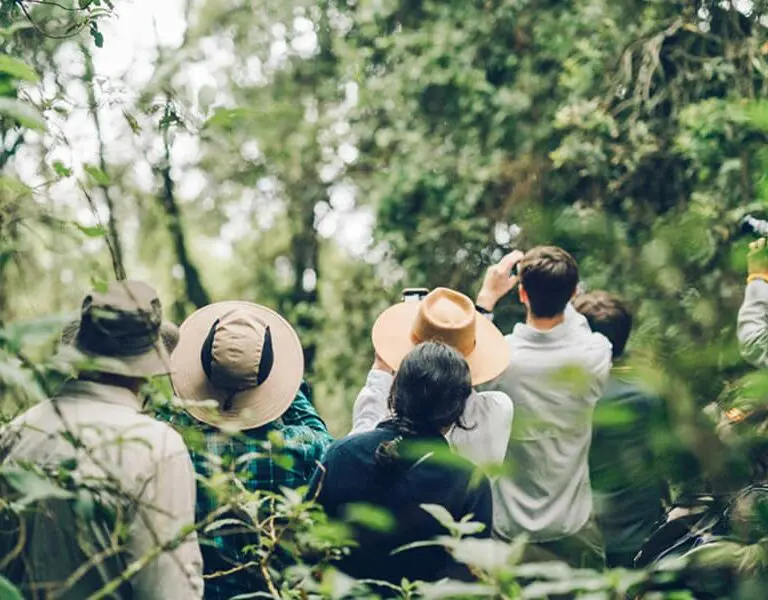Erebero Hills Guests on a Reforestation Walk and Talk Bwindi Impenetrable Forest