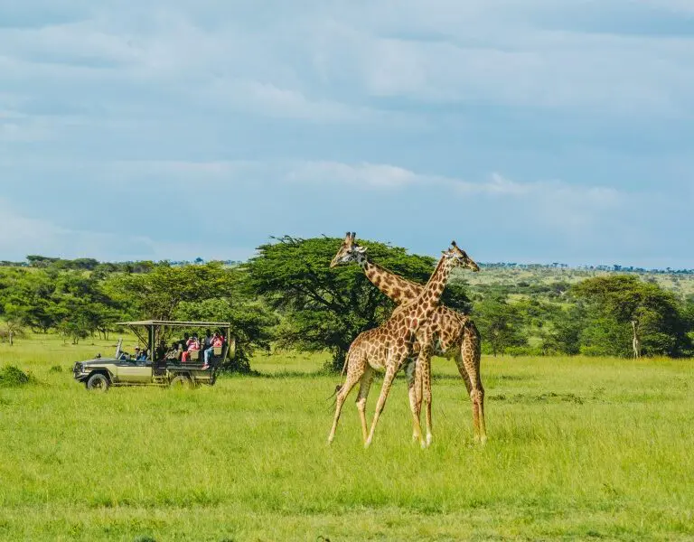 Crowne Plaza Nairobi Airport Hotel Nairobi National Park