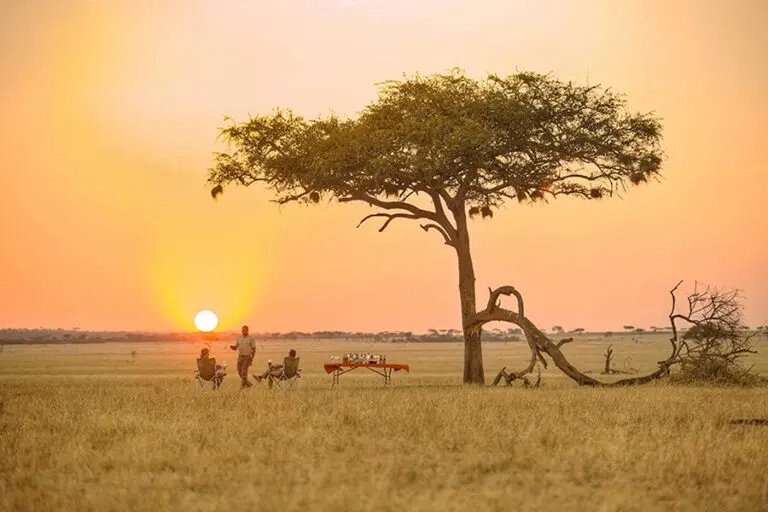 Ubuntu camp sundowners with a view