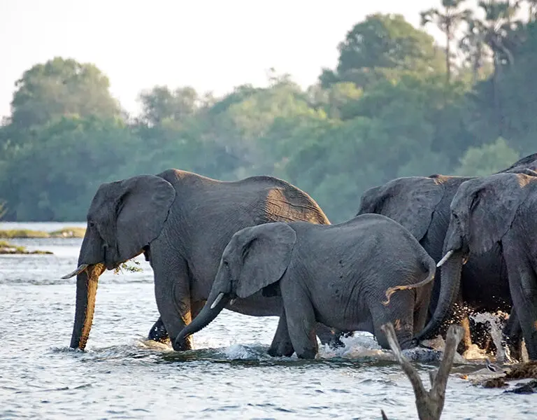 Chundukwa River Lodge On site Activities 19