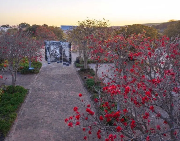 Spier Hotel Art