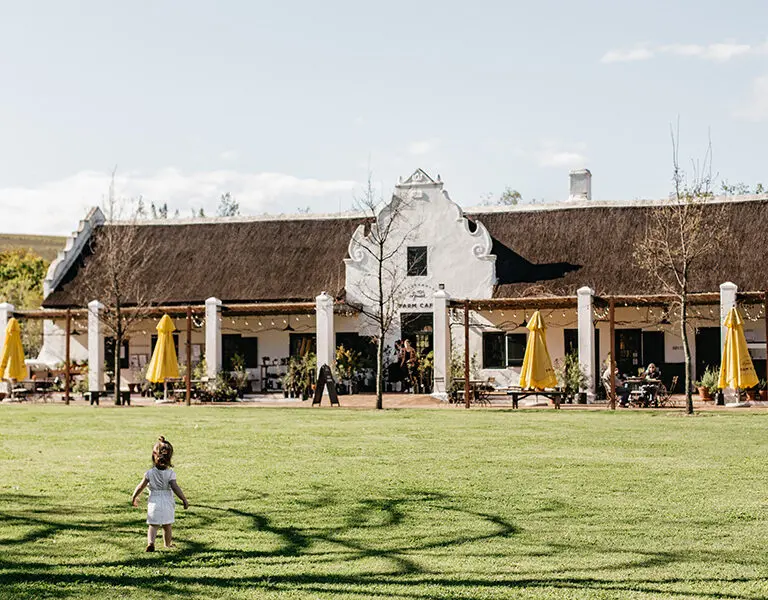 Spier Hotel Spier Picnickery 1