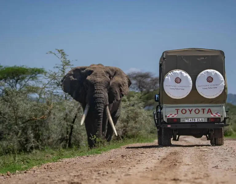 Neptune Serengeti Luxury Tented Camp Game Drive
