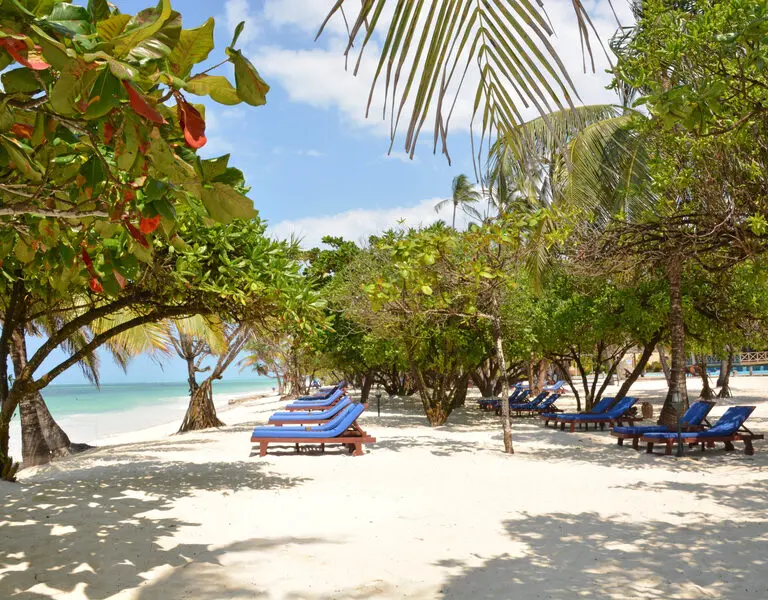 Neptune Pwani Kiwengwa Beach Sunbeds And Flora