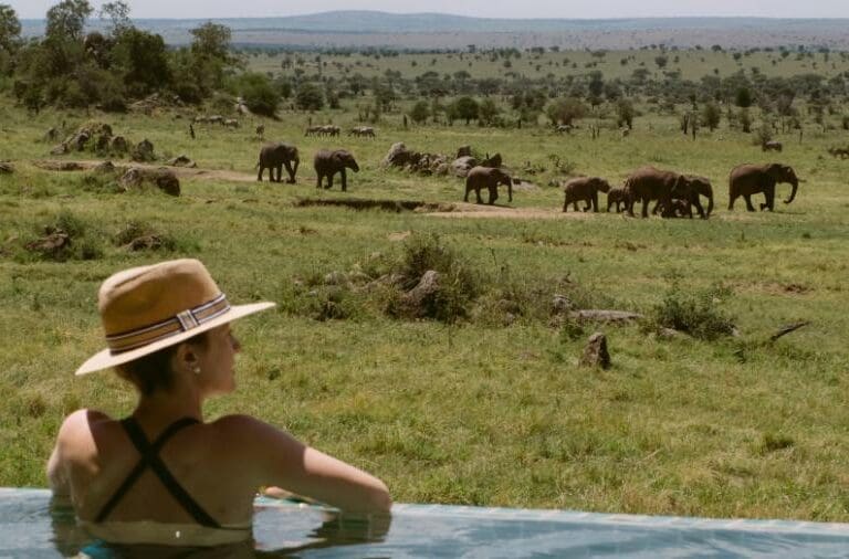 Four Seasons Serengeti SBT 1166 original
