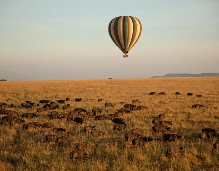 Four Seasons Serengeti SBT 159